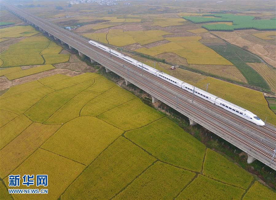 （生態）（1）駛過稻田的列車