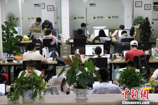 在獨角獸?眾創科技孵化器,年輕的創業團隊正在工作、交流。 楊文虎 攝