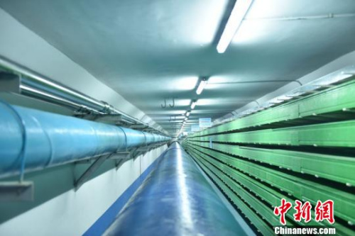 城市綜合管廊工程內景。 劉晉文 攝