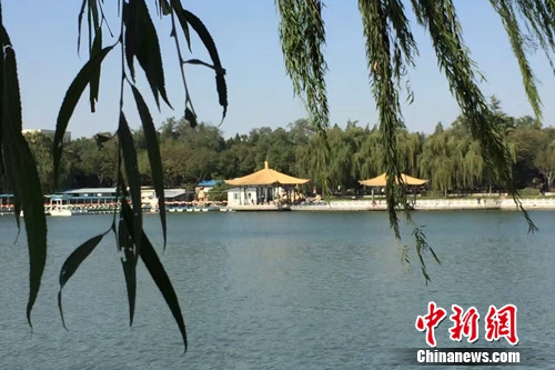 今年4月,北京陶然亭公園內春意盎然。<a target='_blank' _fcksavedurl='http://www.chinanews.com/' ></table>中新網</a> 種卿 攝